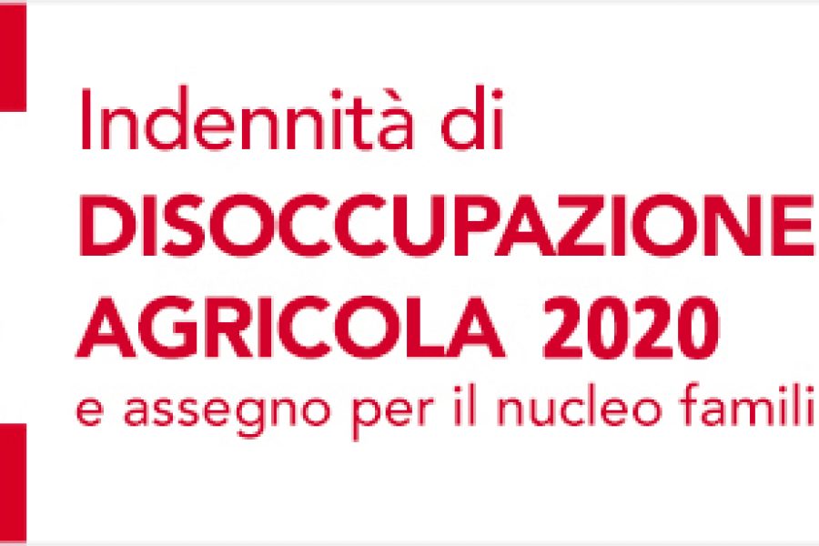 Al via le domande per le disoccupazioni agricole: le presenze Flai Cgil su tutto il territorio ferrarese