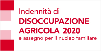 Al via le domande per le disoccupazioni agricole: le presenze Flai Cgil su tutto il territorio ferrarese