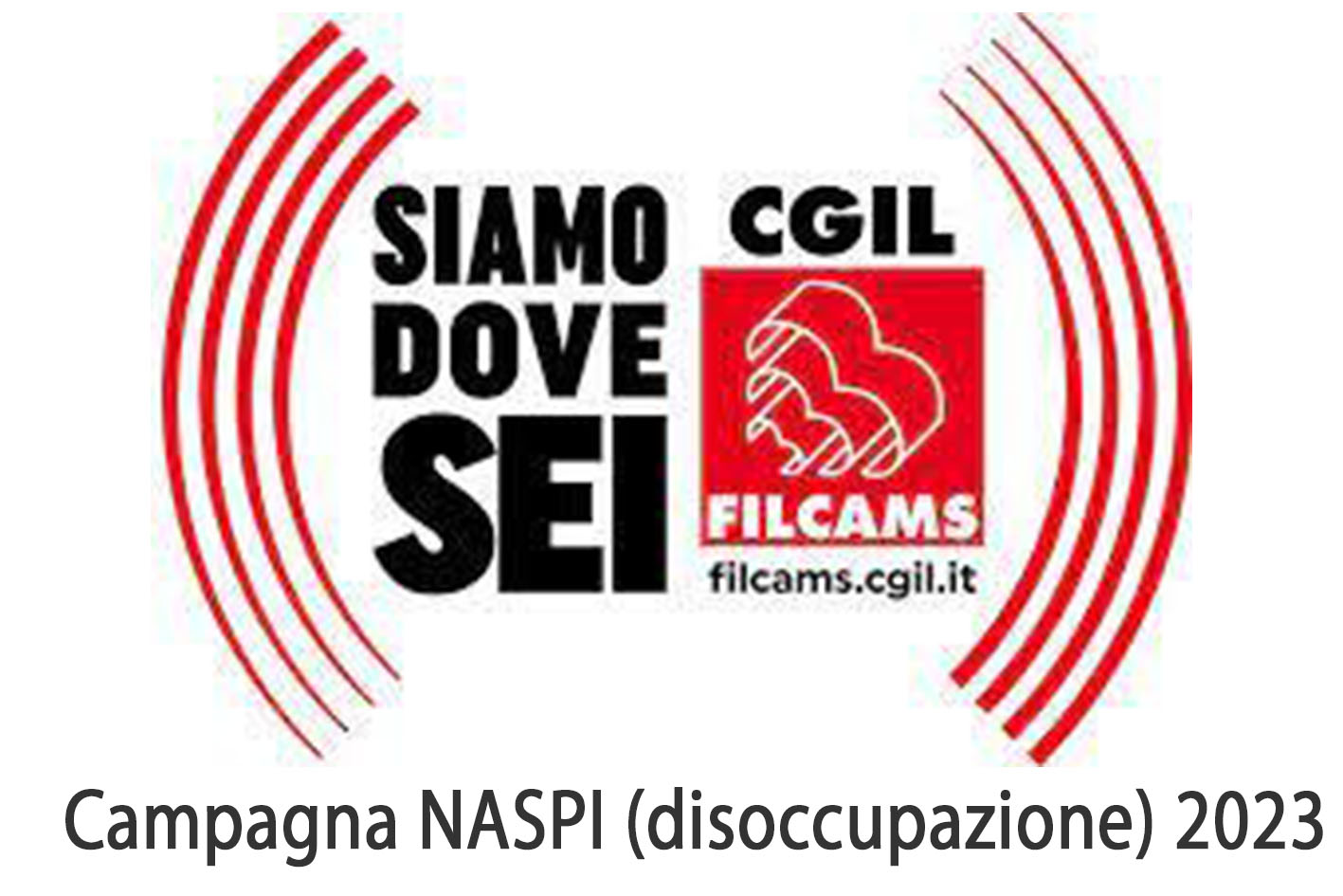 Filcams Cgil Ferrara: tutte le presenze sul territorio per presentare la domanda NASPI 2023