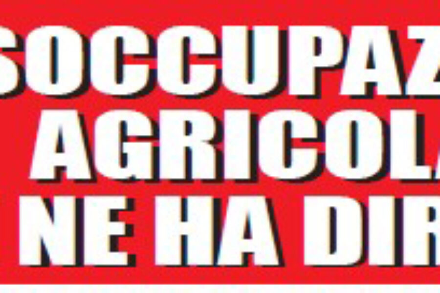 Disoccupazione agricola 2024 rivolgiti a Flai Cgil Ferrara